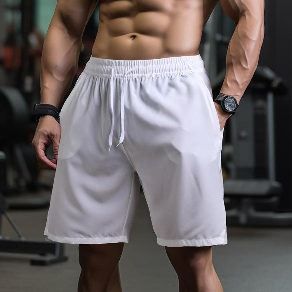 Mens Quick Dry Mesh Shorts Bre - đánh giá và giá Running Gear Gym